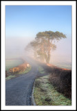Misty morning in Wales
