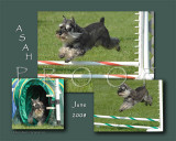 Dorn 8x10 Asah #2