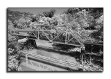IRish<br>Achromatic August<br>August 29