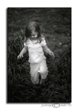Tall Grass<br>April 18