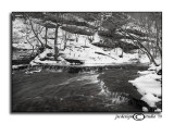 Second Snow III<br>2010