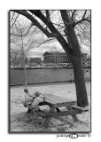 Picnic Distraction