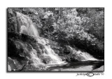 Laurel Falls in B&W