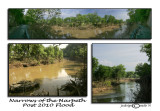 Narrows of the Harpeth<br>Post 2010 Flood