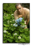 Calendar Girl Challenge: May<br><i>Flowers</i>