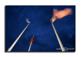 Blowin in the Wind<p>November 21