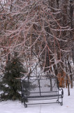 Omaha Winter 2009037.JPG