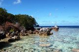 Pearl Motu, Toau