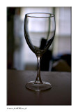 Wine Glass