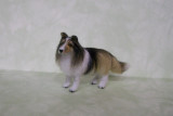 BLACK AND TAN SHELTIE