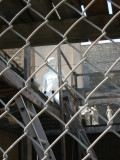 2070714_IMG.JPG
