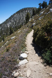 DSC_0220.JPG