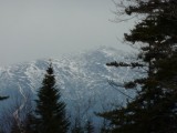 P1000424.jpg