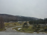 P1000425.jpg