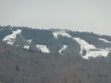 P1000426.jpg