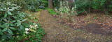 Woodland Trail - Feb