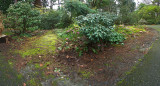 Entry to Ed Dunns Woodland Garden