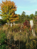 Country Road