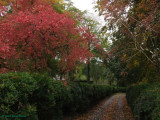 Birr Castle Path