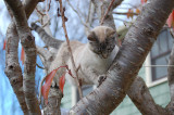 DSC_0236.JPG