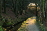 Sunlight shining through an arch of the Treffry Viaduct, Luxulyan Valley.