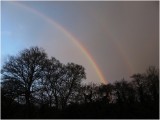 Winter Trees & Rainbows - 26 November 2009