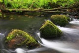 Fallen Tree & Three Boulders, River Fowey