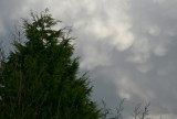 Mammatus clouds, 1 December 2007