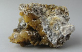Agatized Coral (Chalcedony)