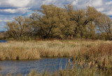 Rapides de Lachine