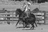 Cali Cowgirl