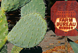 Farm Bureau