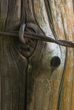 Old Fence Post