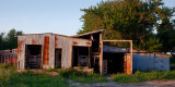 Cattle Shed