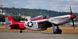P-51 Mustang VAL-HALLA