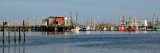 fishing boats at Charleston