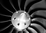 fan blades