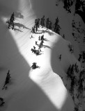 reaching to the light