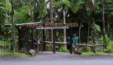 Hawaii Tropical Botanical Garden
