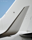 Winglet