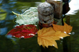 sign of fall