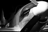 P51
