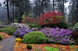 walk in the garden
