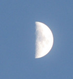 Half Moon