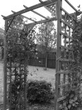 Esthers new back yard 29 March 2008