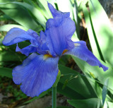 too beautiful to ignore 14 April 2008