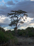 Kenya09-2722