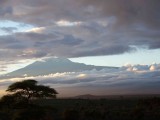 Kili in the morning-2769