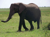 Kenya09-3807