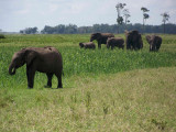 Kenya09-3851